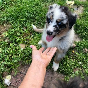 Meet your Posher, Melissa